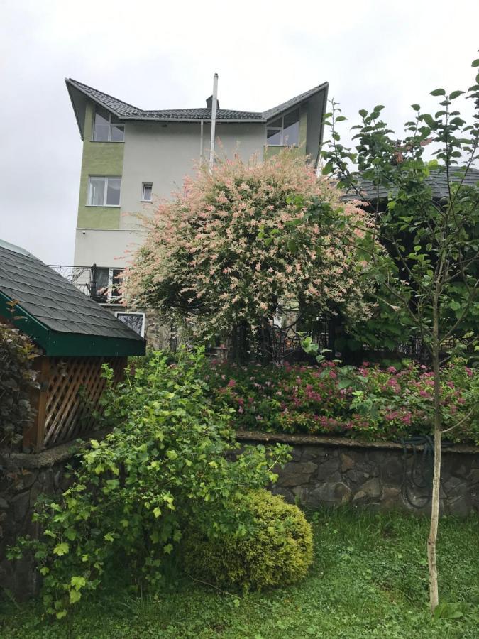 Ярдана Apartment Skhidnytsia Exterior photo